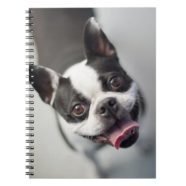 Getty Images | French Bulldog Notebook (Front)