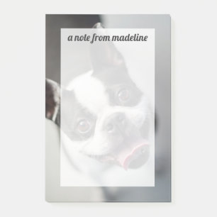 Getty Images   French Bulldog Post-it Notes