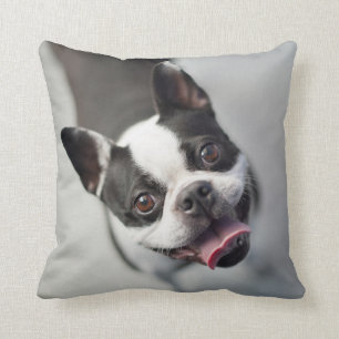 Getty Images   French Bulldog Throw Pillow