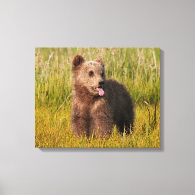 Getty Images | Funny Baby Bear Canvas Print (Front)