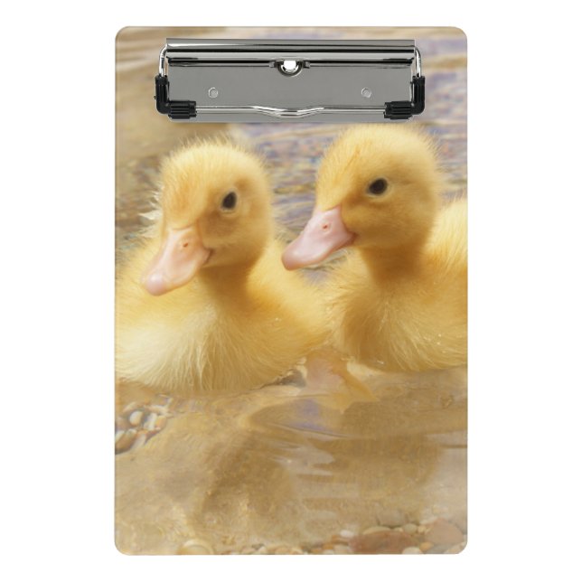 Getty Images | Fuzzy Yellow Ducklings Mini Clipboard (Front)
