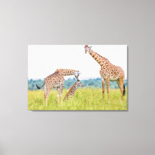 Getty Images   Giraffe Family Canvas Print