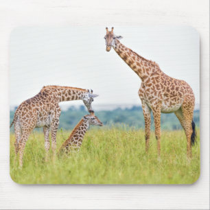 Getty Images Giraffe Family Mouse Pad