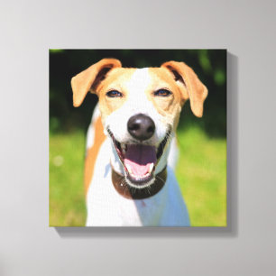 Getty Images Laughing Dog Canvas Print