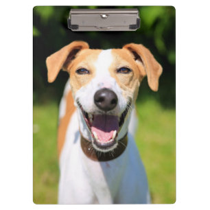 Getty Images Laughing Dog Clipboard