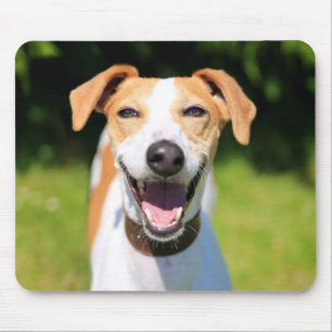 Getty Images   Laughing Dog Mouse Pad