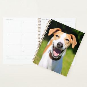 Getty Images Laughing Dog Planner