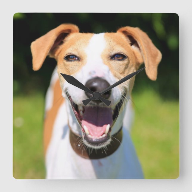 Getty Images | Laughing Dog Square Wall Clock (Front)