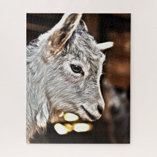 Getty Images   Little Goat Jigsaw Puzzle