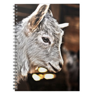 Getty Images Little Goat Notebook
