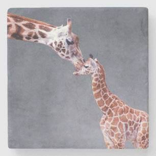 Getty Images   Mother & Baby Giraffe Stone Coaster