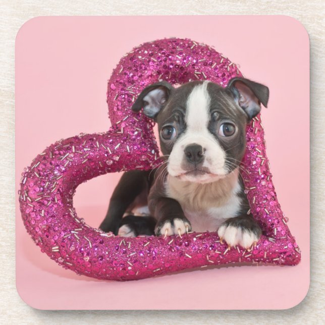 Getty Images | Puppy Love Coaster (Front)