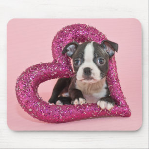 Getty Images   Puppy Love Mouse Pad