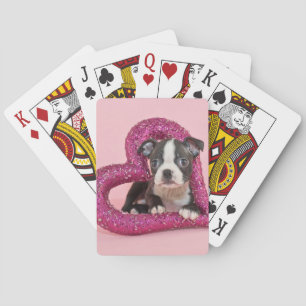 Getty Images   Puppy Love Playing Cards