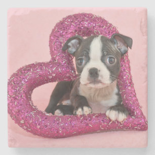 Getty Images   Puppy Love Stone Coaster