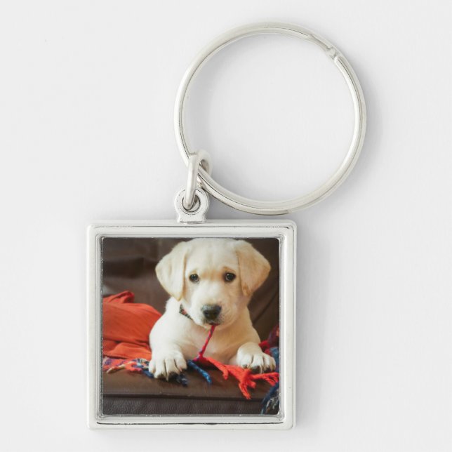 Getty Images | Puppy On A Sofa Keychain (Front)