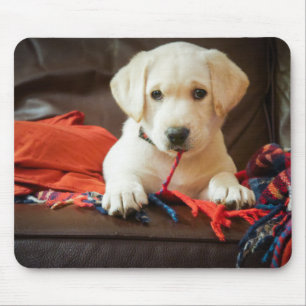 Getty Images Puppy On A Sofa Mouse Pad