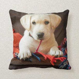 Getty Images   Puppy On A Sofa Throw Pillow