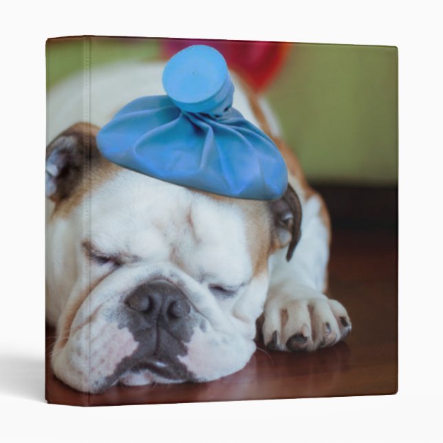 Getty Images | Sick Young Puppy Binder (Front/Spine)