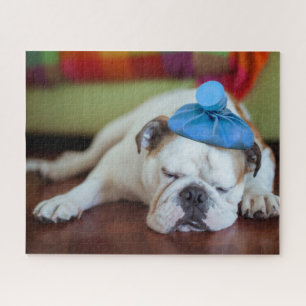 Getty Images   Sick Young Puppy Jigsaw Puzzle