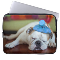 Getty Images | Sick Young Puppy