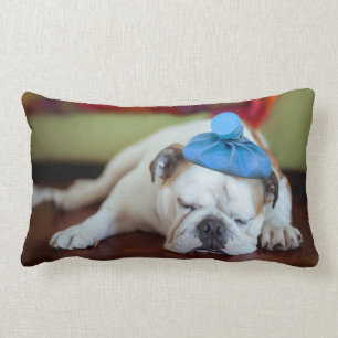 Getty Images   Sick Young Puppy Lumbar Pillow