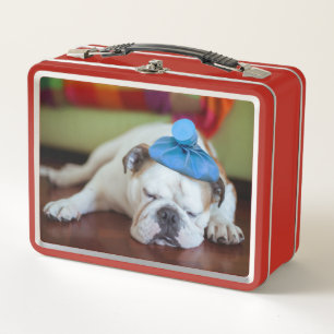 Getty Images   Sick Young Puppy Metal Lunch Box