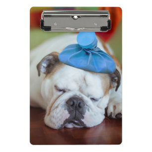 Getty Images   Sick Young Puppy Mini Clipboard