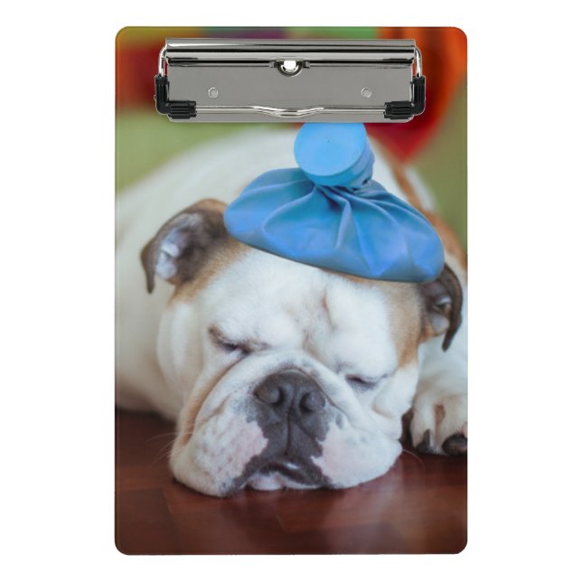 Getty Images | Sick Young Puppy Mini Clipboard (Front)