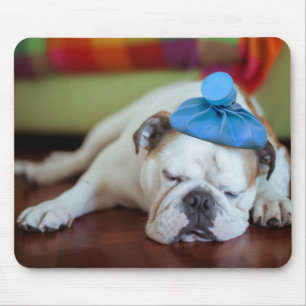 Getty Images   Sick Young Puppy Mouse Pad