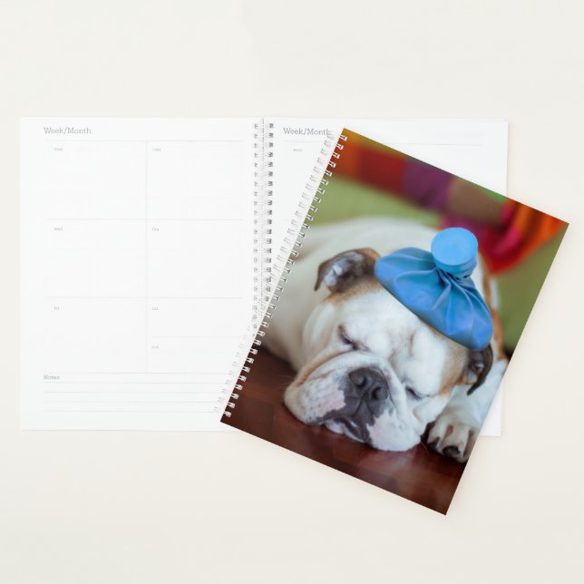 Getty Images | Sick Young Puppy Planner (Display)