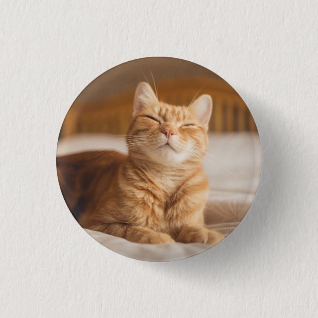 Getty Images | Sleepy Cat 1 Inch Round Button (Front)
