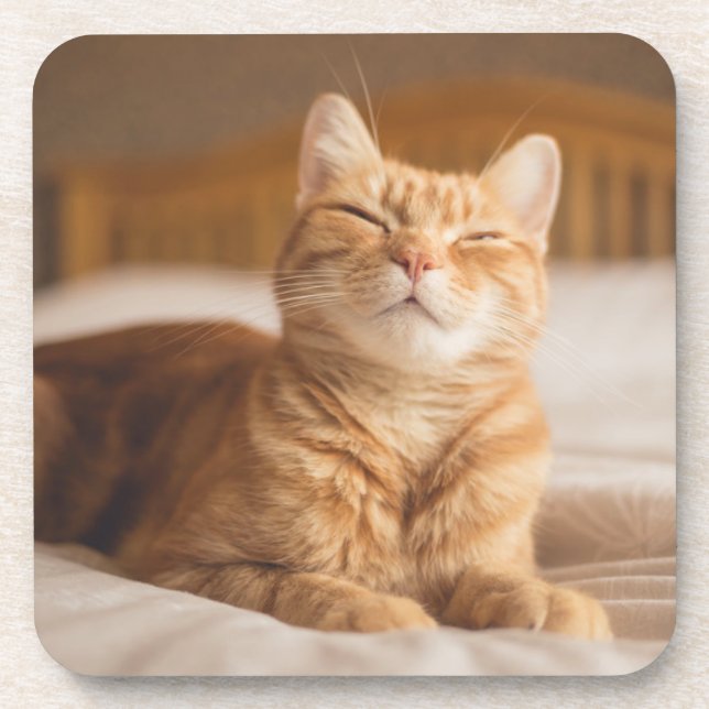 Getty Images | Sleepy Cat Coaster (Front)