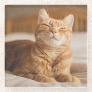 Getty Images Sleepy Cat Glass Coaster