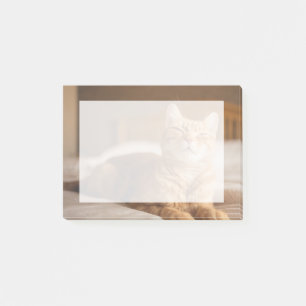 Getty Images   Sleepy Cat Post-it Notes