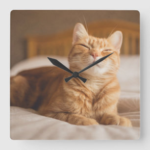 Getty Images   Sleepy Cat Square Wall Clock