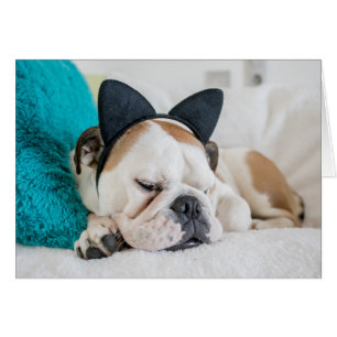 Getty Images Sleepy Dog with Cat Headband