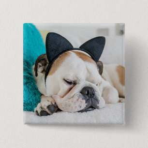 Getty Images   Sleepy Dog with Cat Headband 2 Inch Square Button