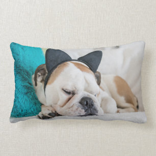 Getty Images   Sleepy Dog with Cat Headband Lumbar Pillow