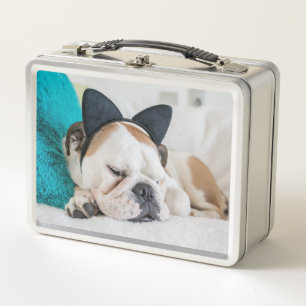 Getty Images Sleepy Dog with Cat Headband Metal Lunch Box