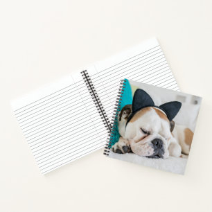Getty Images Sleepy Dog with Cat Headband Notebook