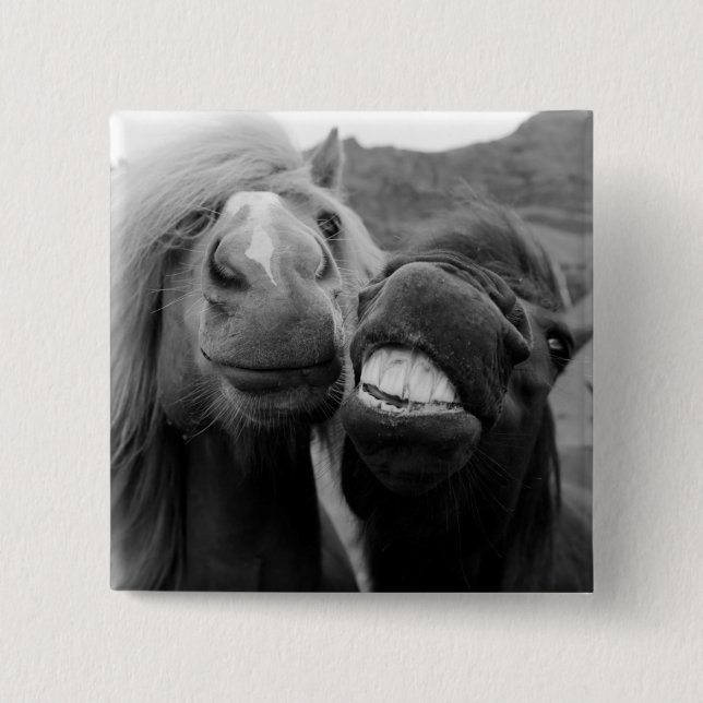 Getty Images | Smiling Horses 2 Inch Square Button (Front)