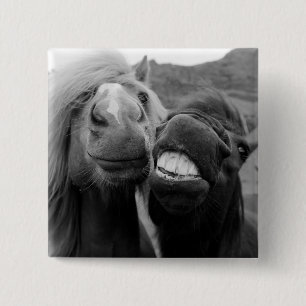 Getty Images   Smiling Horses 2 Inch Square Button