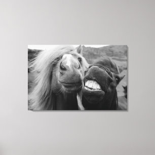 Getty Images Smiling Horses Canvas Print