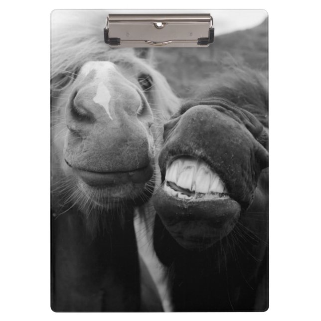Getty Images | Smiling Horses Clipboard (Front)