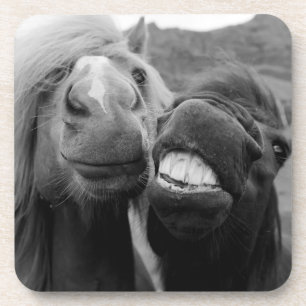 Getty Images   Smiling Horses Coaster
