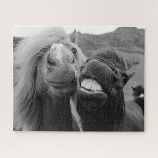 Getty Images | Smiling Horses Jigsaw Puzzle (Horizontal)