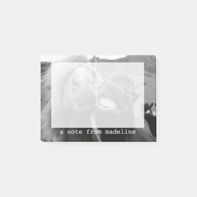 Getty Images | Smiling Horses Post-it Notes (Front)