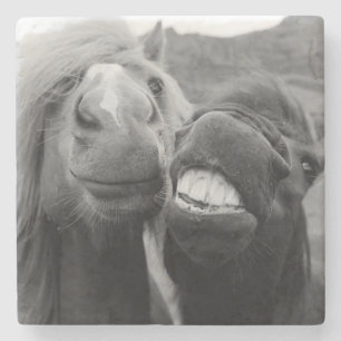 Getty Images Smiling Horses Stone Coaster