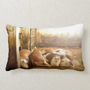 Getty Images   Snuggling Pigs Lumbar Pillow